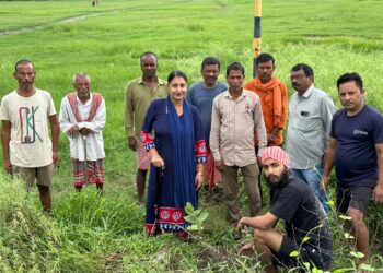 आंगनबाड़ी कार्यकर्ती मनप्रीत कौर ने ग्रामीणों के सहयोग से किया वृक्षारोपण।