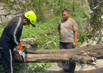 मसूरी मॉल रोड पर गिरा विशाल पेड़, अग्निशमन दल ने त्वरित कार्रवाई कर टाला बड़ा हादसा पर्यटन नगरी मसूरी में रविवार को एक बड़ा हादसा उस समय टल गया, जब झूलाघर स्थित इलाहाबाद बैंक के समीप मॉल रोड पर अचानक एक विशाल पेड़ गिर गया। घटना के चलते कुछ देर के लिए मार्ग अवरुद्ध हो गया और क्षेत्र में अफरा-तफरी का माहौल बन गया। हालांकि समय रहते अग्निशमन विभाग की टीम मौके पर पहुंच गई और पेड़ को काटकर मार्ग से हटाते हुए यातायात सुचारू कर दिया। अग्निशमन एवं आपात सेवा केंद्र मसूरी को शनिवार को सूचना मिली कि झूलाघर के निकट इलाहाबाद बैंक के पास मॉल रोड पर एक बड़ा पेड़ गिर गया है। सूचना मिलते ही फायर स्टेशन से टीम तत्काल घटनास्थल के लिए रवाना हुई। मौके पर पहुंचने पर देखा गया कि विशाल पेड़ मुख्य मार्ग पर गिरा हुआ था, जिससे आवाजाही प्रभावित हो रही थी और दुर्घटना की आशंका बनी हुई थी। फायर यूनिट ने बिना समय गंवाए राहत एवं बचाव कार्य शुरू किया। टीम ने दो वुडन कटरों की मदद से पेड़ को छोटे-छोटे हिस्सों में काटा और उन्हें सड़क से हटाया। करीब एक घंटे की मशक्कत के बाद मार्ग को पूरी तरह साफ कर यातायात के लिए खोल दिया गया। गनीमत रही कि पेड़ गिरने के समय वहां कोई राहगीर या वाहन इसकी चपेट में नहीं आया, अन्यथा बड़ा हादसा हो सकता था। स्थानीय लोगों ने अग्निशमन विभाग की त्वरित कार्रवाई की सराहना की। राहत एवं बचाव अभियान में चालक महेंद्र सिंह, फायरमैन शुभाष सिंह, नितिन सिंह और रोहित रावत शामिल रहे।