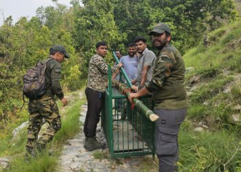 बणासी में गुलदार का आतंक-महिला की मौत के बाद वन विभाग का बड़ा एक्शन,ड्रोन,ट्रैप कैमरों और पिंजरों से शुरू हुआ ऑपरेशन