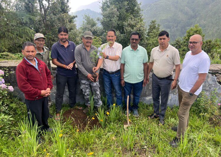 चिरबटिया में हरियाली का संकल्प-रायल ग्रुप जखोली ने स्थापित की स्मृति वाटिका,देवदार सहित विभिन्न प्रजातियों के पौधे रोपे