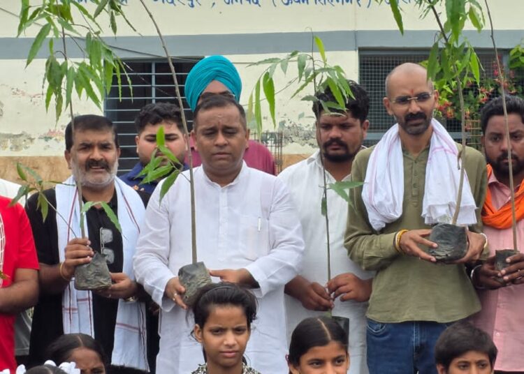 एक पेड़ मां के नाम अभियान को आगे बढ़ते हुए आज पूर्व जिला पंचायत सदस्य उर्मिला रानी चुघ की स्मृति पर चुघ परिवार की ओर से विभिन्न स्थानों पर 101 पेड़ लगाए गए।