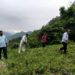 रतोड़ा बैंड पर चला भागीरथी कला संगम का स्वच्छता अभियान-झाड़ियों और चीड़ की पत्तियों से मिली सड़क को निजात