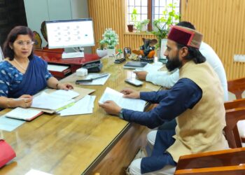 माता की पुण्यतिथि पर चौहान परिवार ने रोपा समलौण-पितृ श्रद्धांजलि के साथ दिया पर्यावरण संरक्षण का संदेश